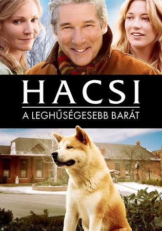 Hacsi - A leghűségesebb barát