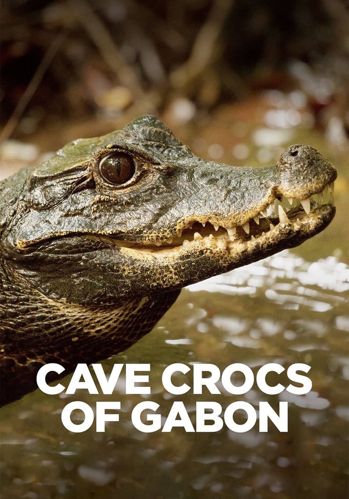 Cave Crocs of Gabon