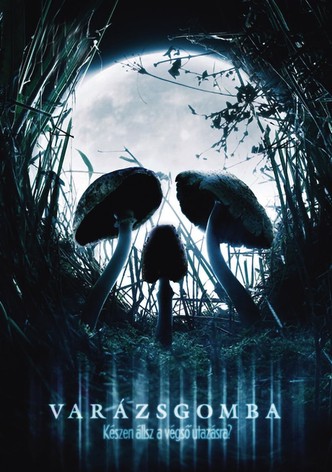 Varázsgomba - Készen állsz a végső utazásra?