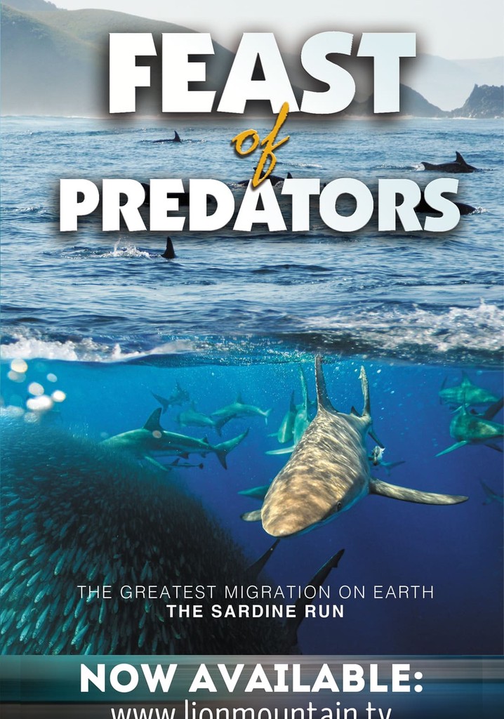 Feast of Predators