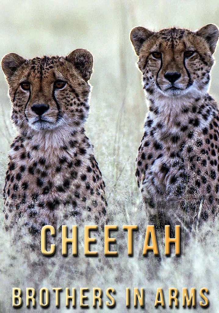 Cheetah Brothers in Arms