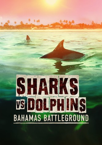 Sharks vs. Dolphins: Bahamas Battleground
