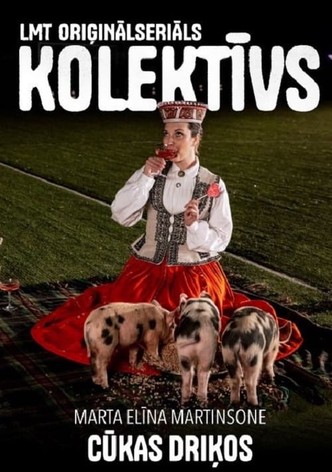 Cūkas driķos
