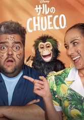 サルのC.H.U.E.C.O.