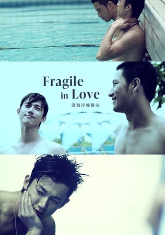 Fragile in Love