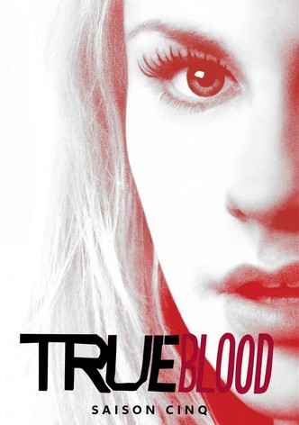 Saison 5