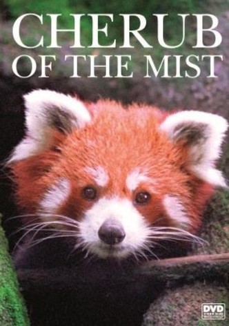 Cherub of the Mist