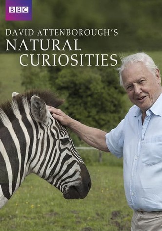 A természet furcsaságai David Attenborough-val