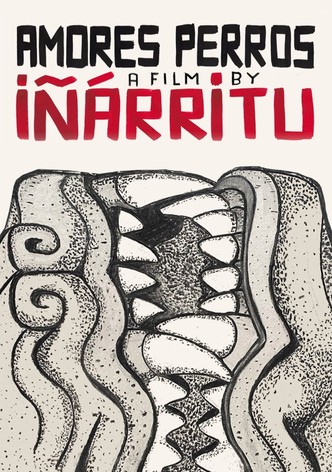Amores perros - Von Hunden und Menschen