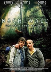 Nachtwald