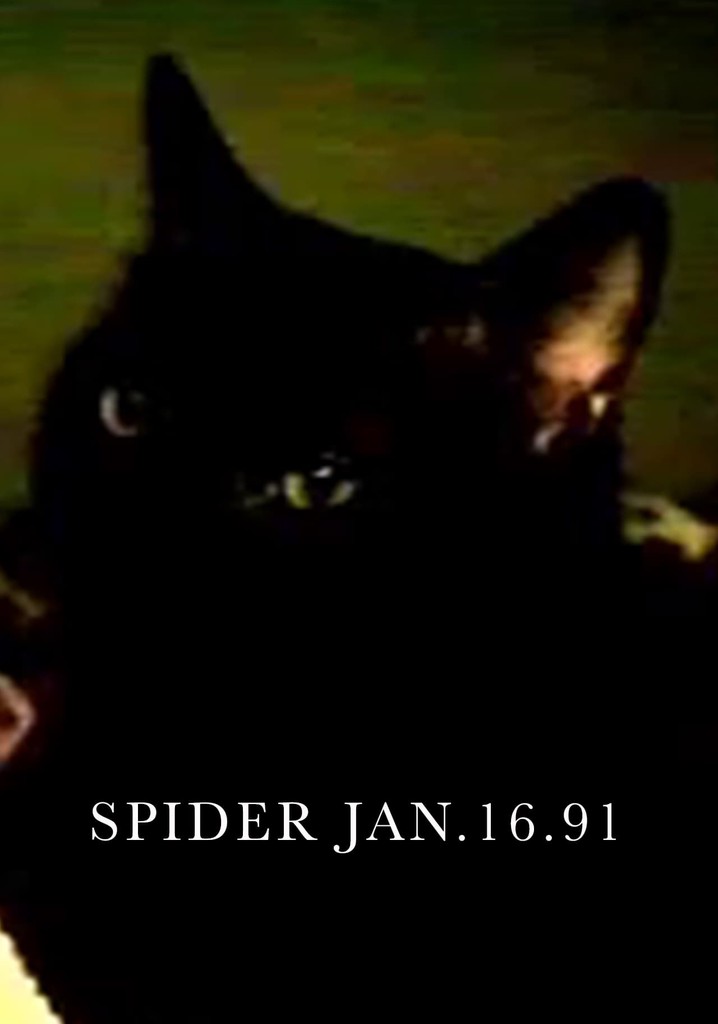 Spider Jan.16.91