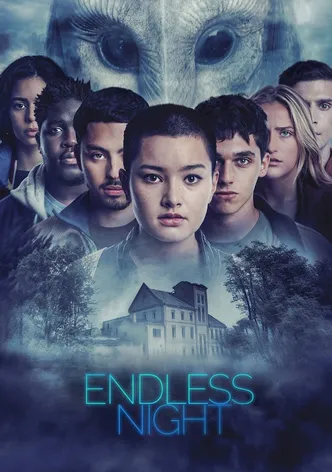 Endless Night poster
