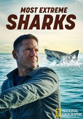 Shark with Steve Backshall