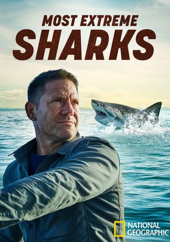 Watch Game of Sharks Streaming Online