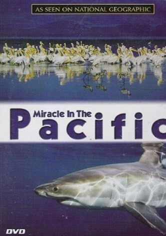 Miracle in the Pacific