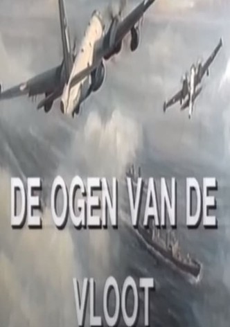 The eyes of the fleet