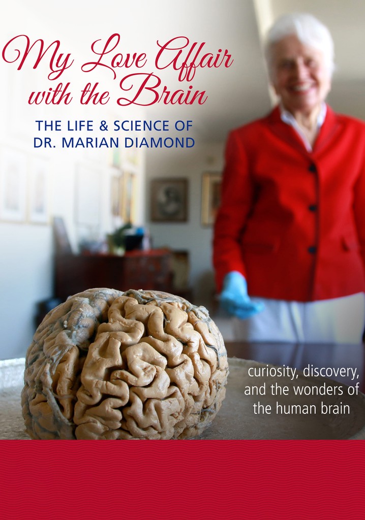 My Love Affair with the Brain