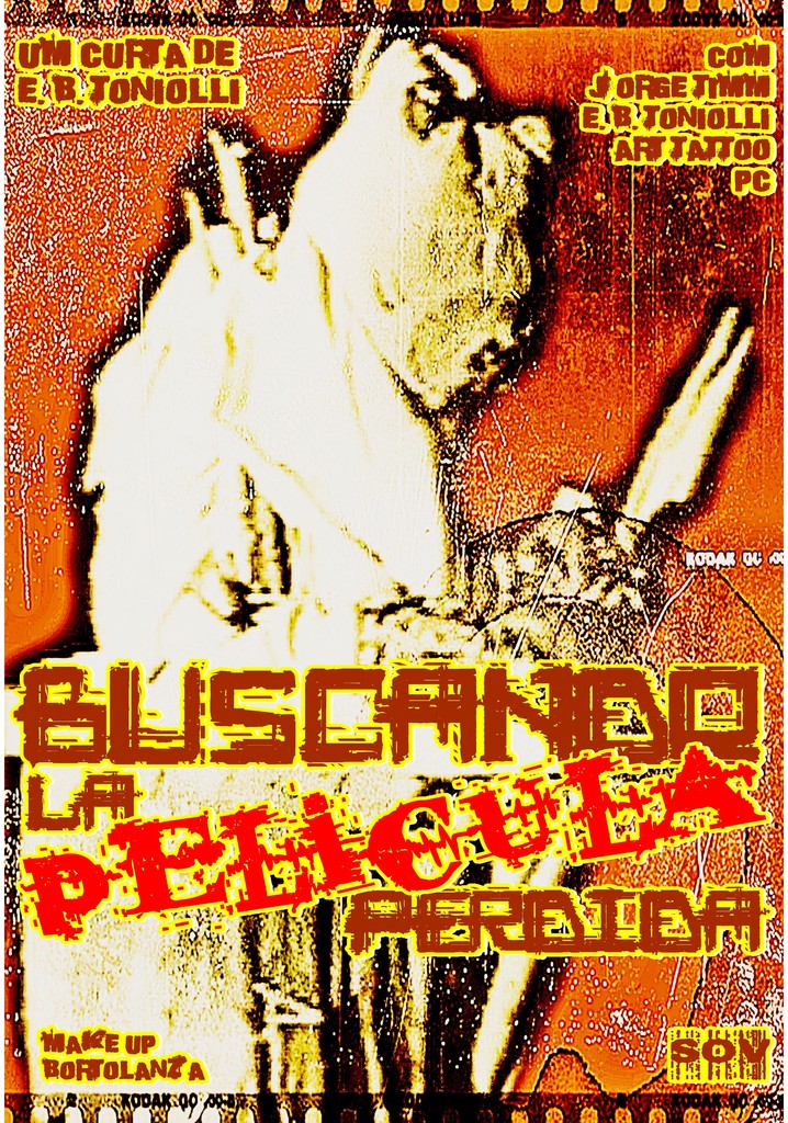 Buscando la Película Perdida