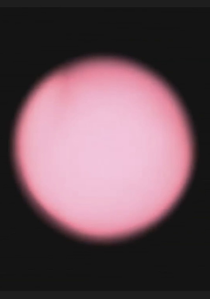 Red Bird Pt. 2 (Morning)