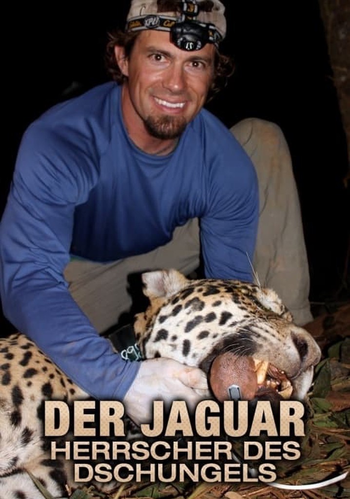 Hunt for the Shadow Cat