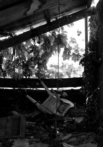 333 - A Childhood Tale