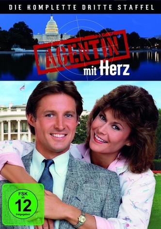 Scarecrow and Mrs. King - Die komplette 3. Staffel