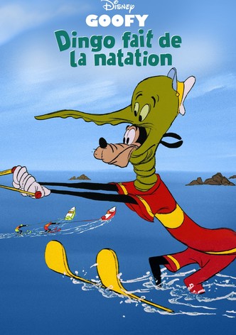 Dingo Fait de la Natation