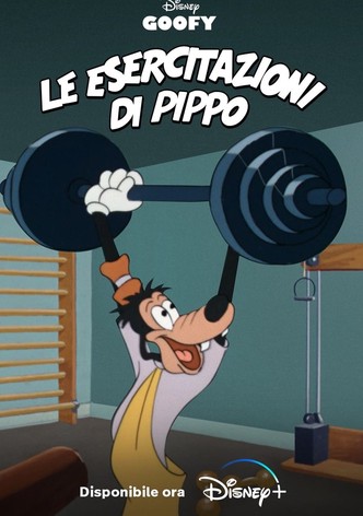 Le esercitazioni di Pippo