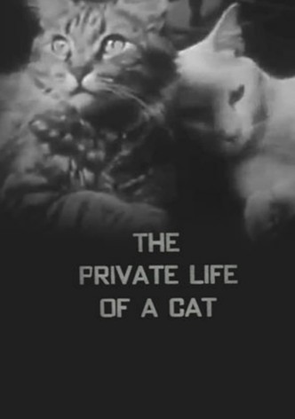 The Private Life of a Cat