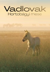 Vadlovak - Hortobágyi mese