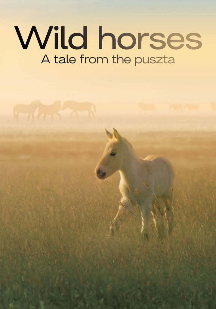 Wild Horses - A Tale From The Puszta