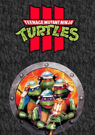 Teenage Mutant Ninja Turtles III