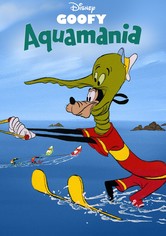 Der Freizeitkapitän