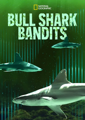 Bull Shark Bandits