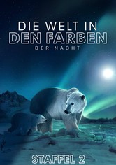 Die Welt in den Farben der Nacht