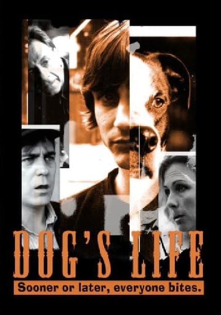 Dog's Life streaming where to watch movie online?