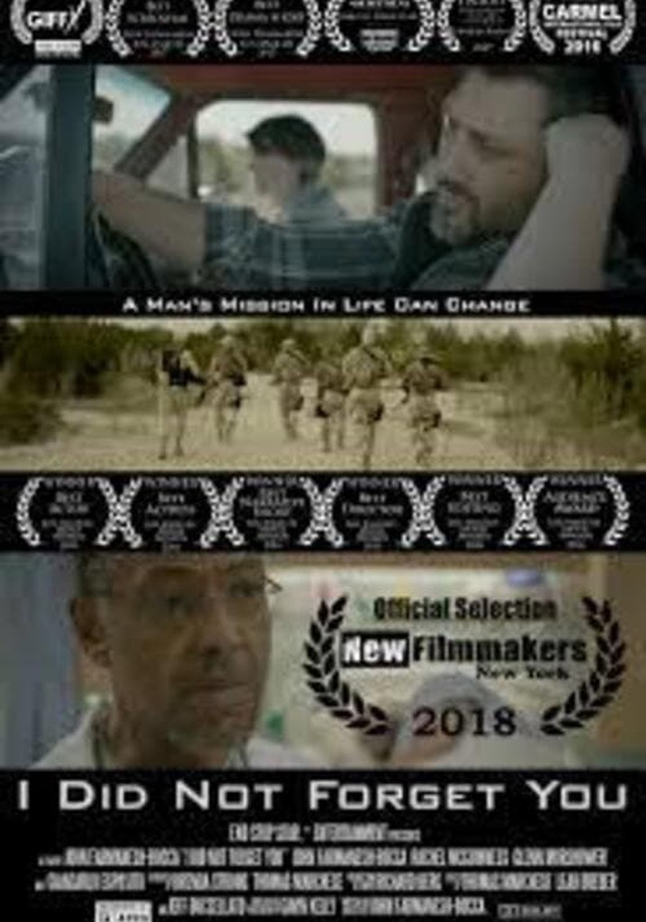 I Did Not Forget You