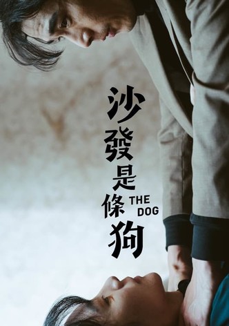沙發是條狗