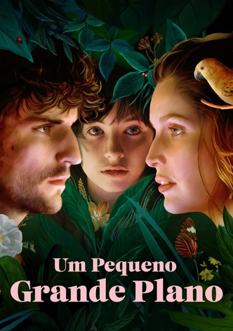 Um Pequeno Grande Plano