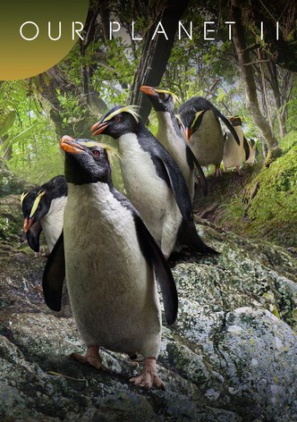 Our Planet II