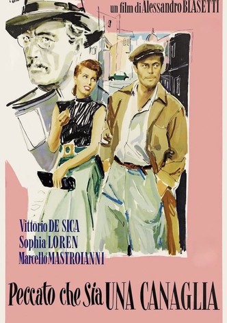 Peccato che sia una canaglia