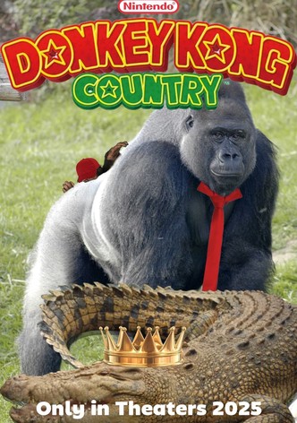 Donkey Kong Country