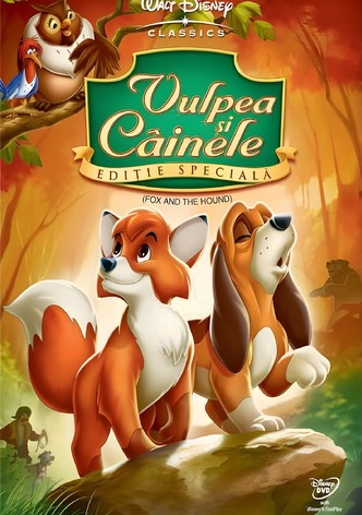 Vulpea și câinele