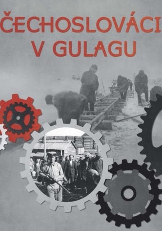 Čechoslováci v gulagu - Řada 1