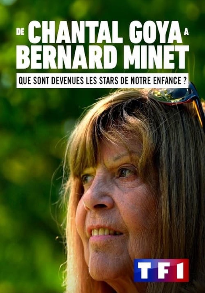 De Chantal Goya à Bernard Minet : Que sont devenues les stars de notre enfance ?