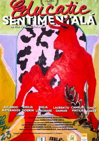 Sentimental Education