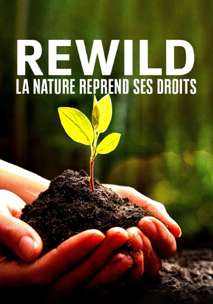 Rewild, la nature reprend ses droits