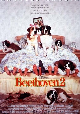 Beethoven 2