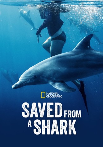 Saved From a Shark