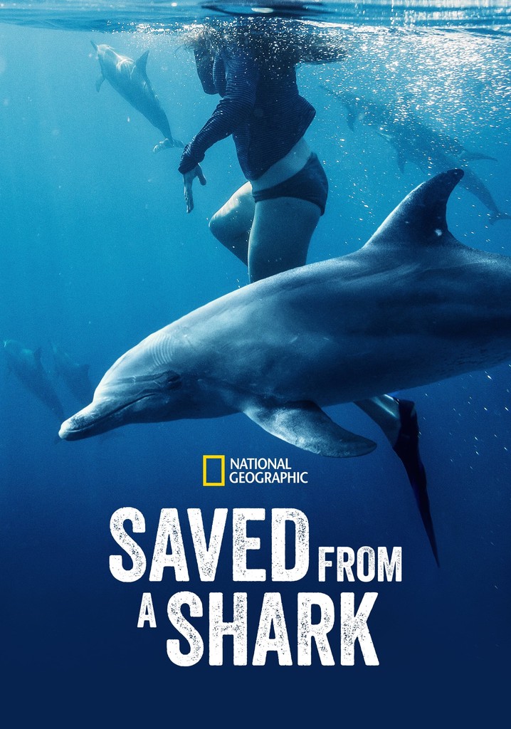 Saved From a Shark